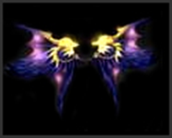 Wing of Dimension