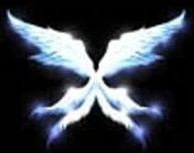 Wing of Space Time
