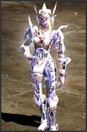 Guardian Set