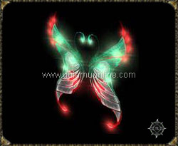 Wing of Ilusion